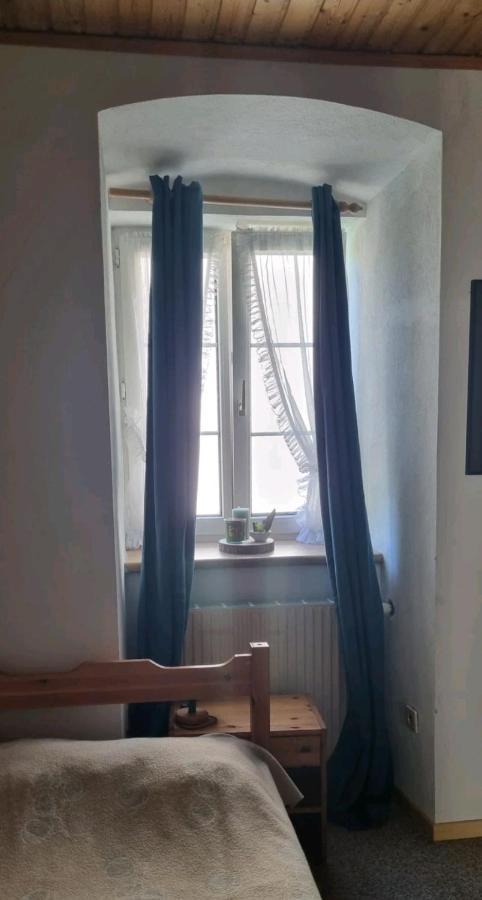 Turmhaus Trieben Wohnung 1 Eksteriør billede