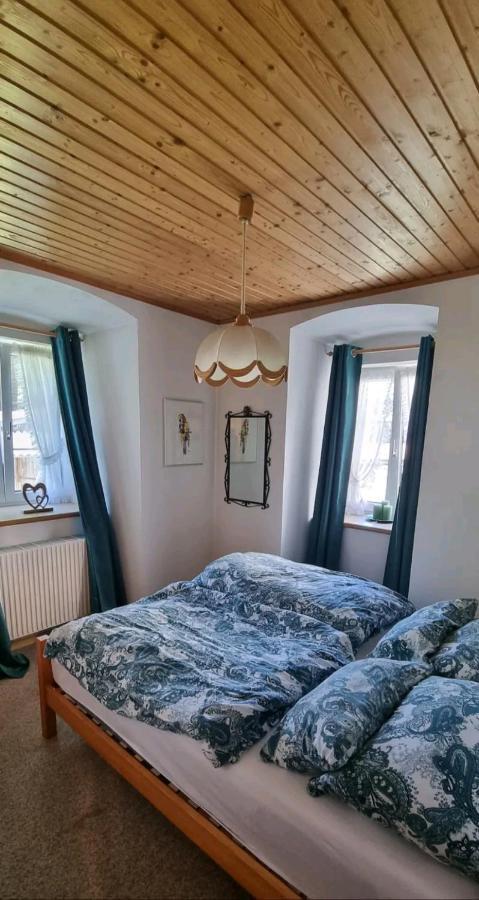 Turmhaus Trieben Wohnung 1 Eksteriør billede